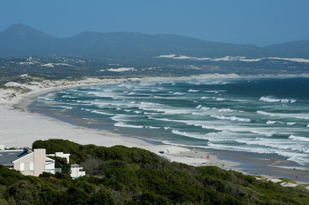 Lavender Manor Guest Lodge Hermanus Bagian luar foto